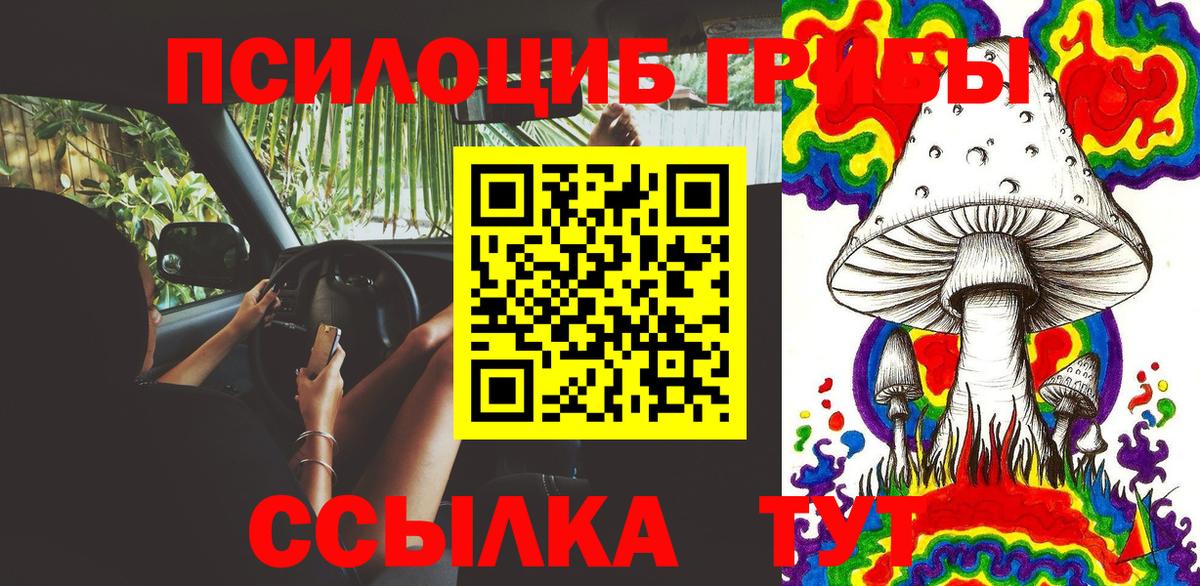 Галлюциногенные грибы ЛСД  Вход с VPN  где можно купить наркотик  Курчатов 