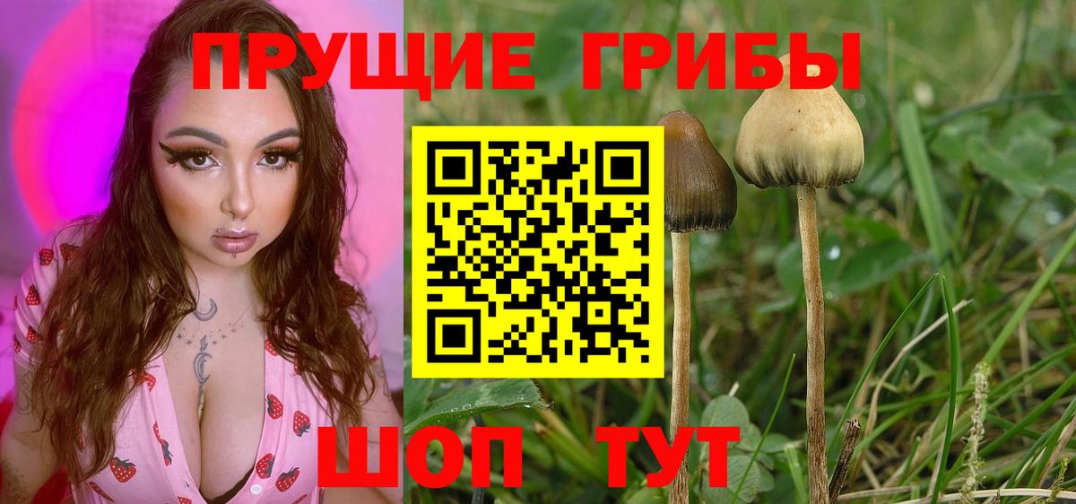 Курчатов  Каннабис  Вход с VPN  Гашиш  Меф   КОКАИН 