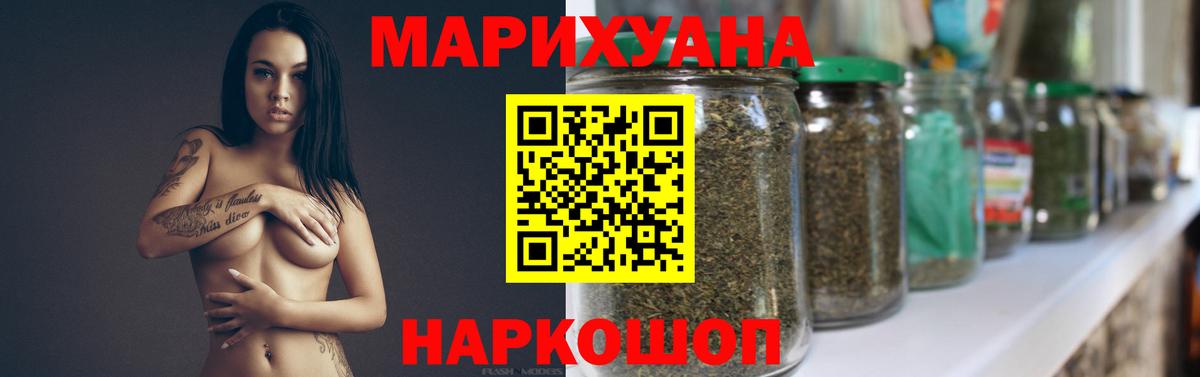 Конопля план Курчатов